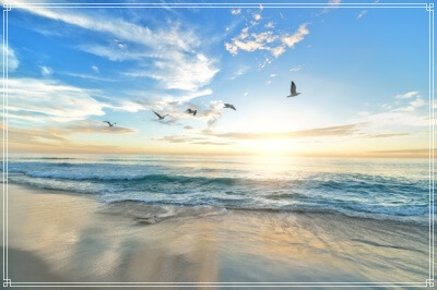 夏の海