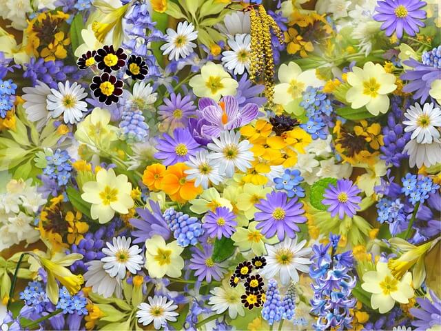 たくさんのお花